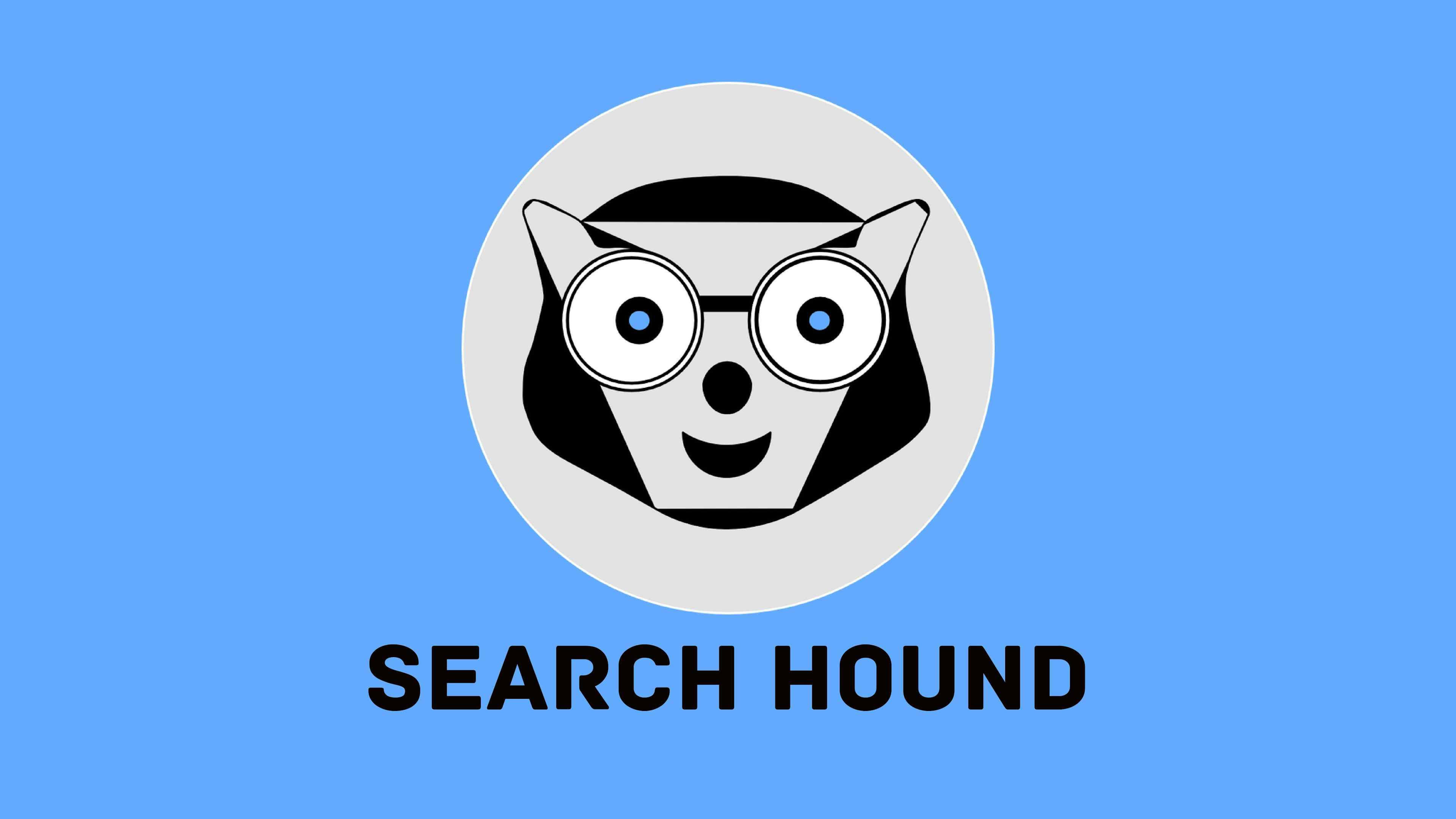 SearchHound: Plagiarism Detection Automation